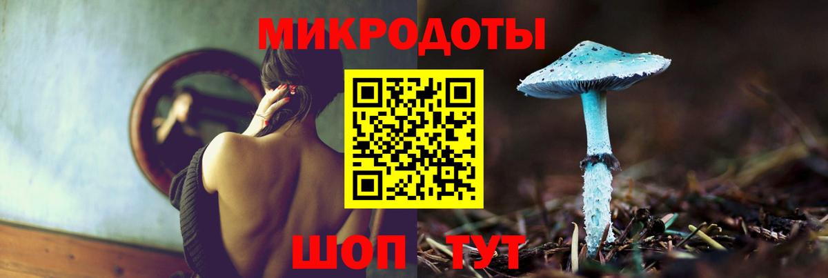 Камышин  Галлюциногенные грибы Magic Shrooms  Вход с VPN  закладки  Галлюциногенные грибы MAGIC MUSHROOMS 